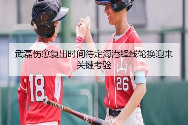 武磊伤愈复出时间待定海港锋线轮换迎来关键考验