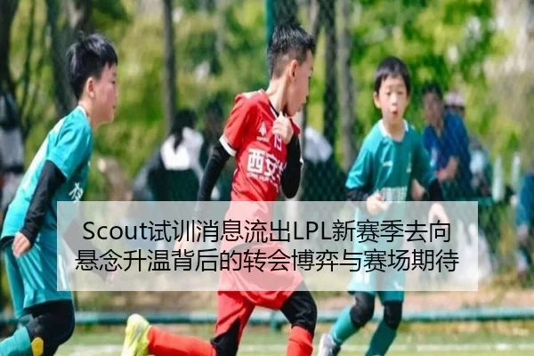 Scout试训消息流出LPL新赛季去向悬念升温背后的转会博弈与赛场期待